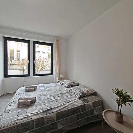 Le 15 - Beau T3 Lumineux Et Confortable- Stationnement Gratuit - Mulhouse 公寓
